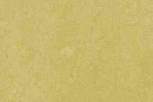 Линолеум Forbo Marmoleum Marbled Fresco 3259-325935 mustard фото  | FLOORDEALER